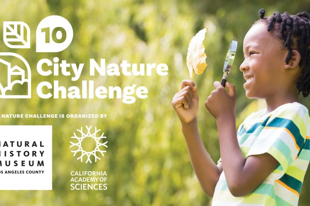 Child participating in City Nature Challenge